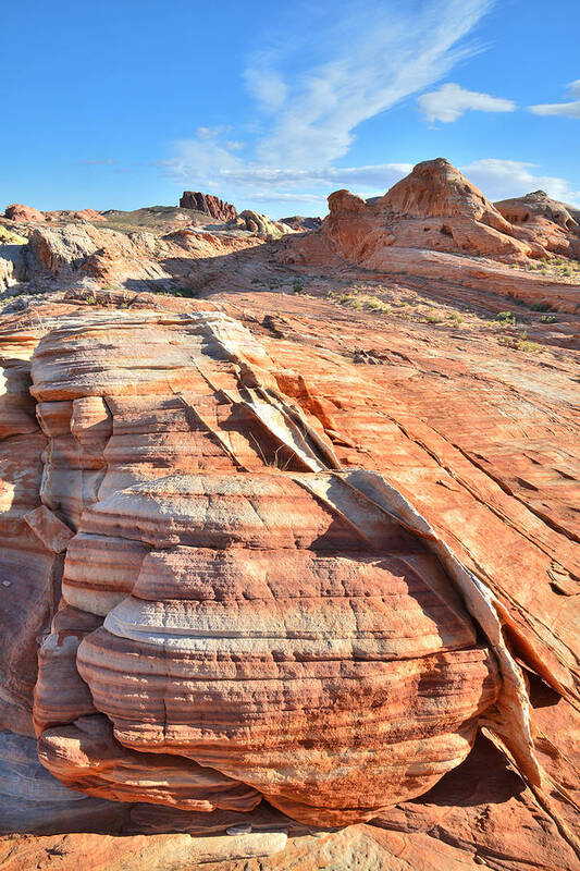 Valley Of Fire State Park Art Print featuring the photograph Valley of Fire #466 by Ray Mathis