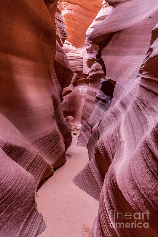 2017 Art Print featuring the photograph Lower Antelope Canyon #5 by Craig Shaknis