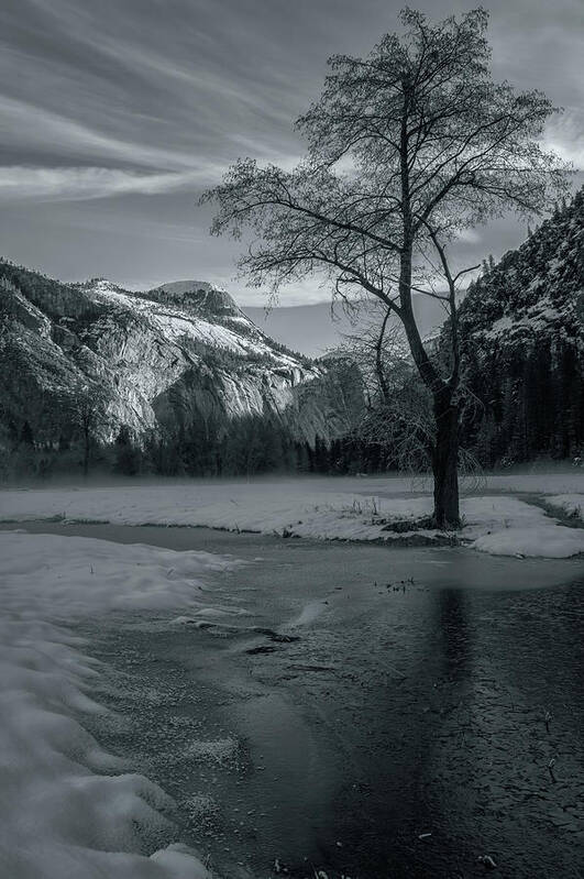 Landscape Art Print featuring the photograph A Little Light In The Winter BW by Jonathan Nguyen