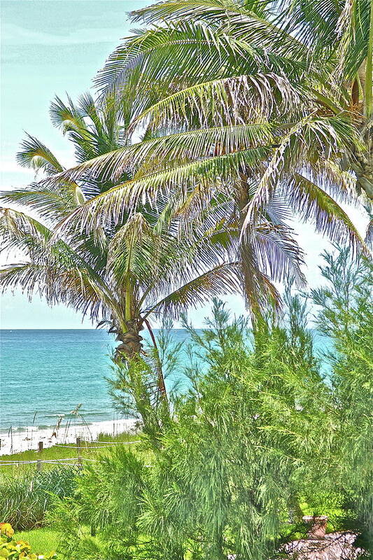 Ocean Art Print featuring the photograph A View From Palm Beach by Lauren Serene