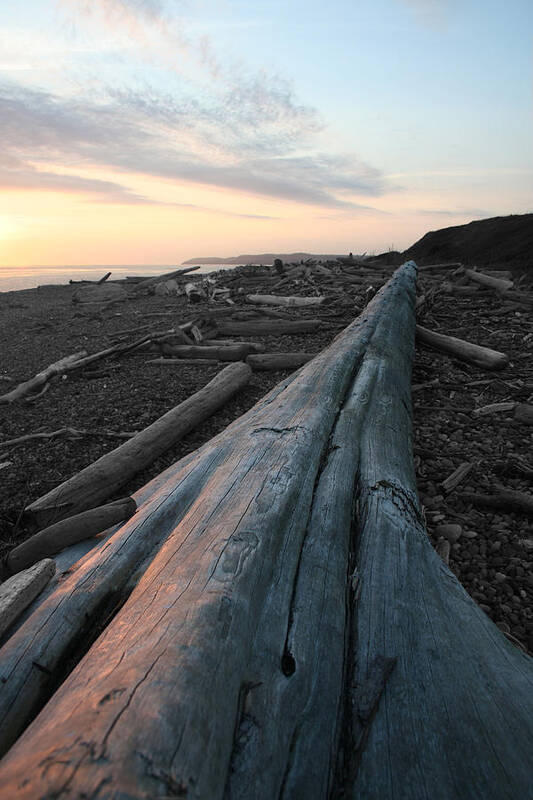 Admiralty Log Art Print featuring the photograph Admiralty Log by Dylan Punke