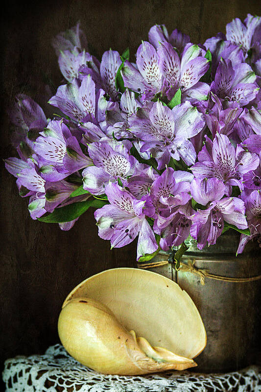 Alstroemeria Art Print featuring the photograph Alstroemeria with Seashell by Cindi Ressler