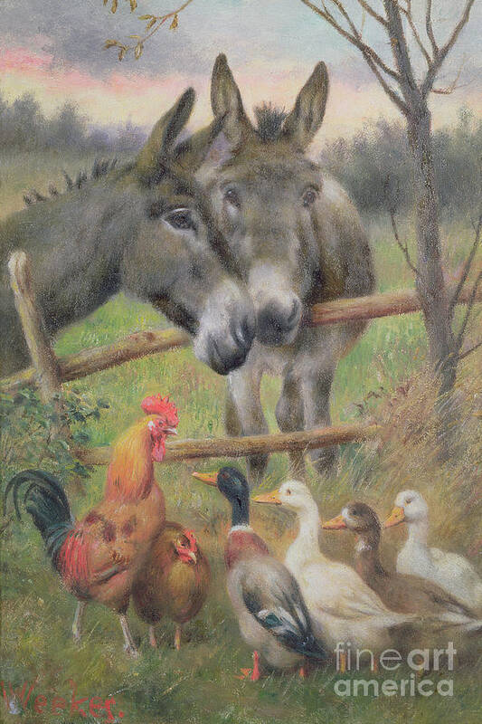 Donkey; Cockerel; Mallard; Drake; Duck Art Print featuring the painting An Urban Council by Herbert William Weekes