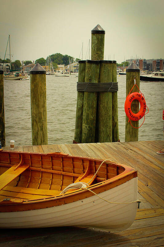 Annapolis Art Print featuring the photograph Annapolis by Dr Janine Williams