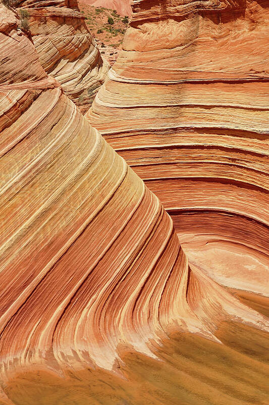 The Wave Art Print featuring the photograph Artistry in Sandstone by Leda Robertson