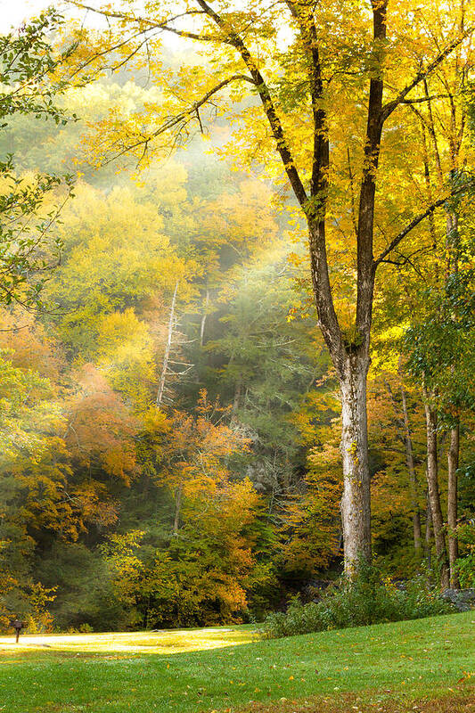 Autumn Art Print featuring the photograph Autumn Morning Rays by Brian Caldwell