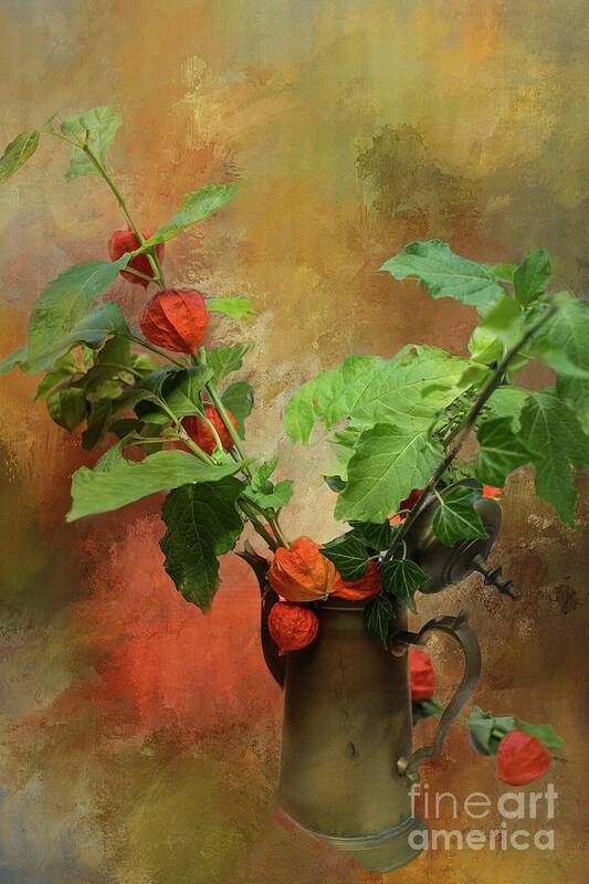 Chinese Lantern Art Print featuring the photograph Autumn Still Life by Eva Lechner