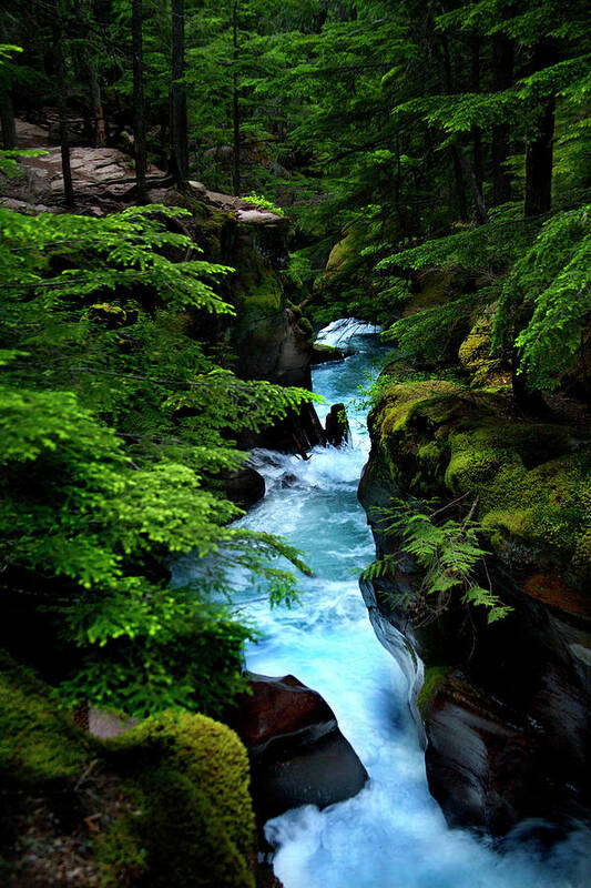 Waterfalls Art Print featuring the photograph Avalanche Creek Waterfalls by David Chasey