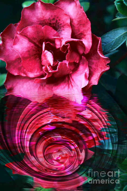 Floral Art Print featuring the photograph Azalea Reflection by Elaine Teague