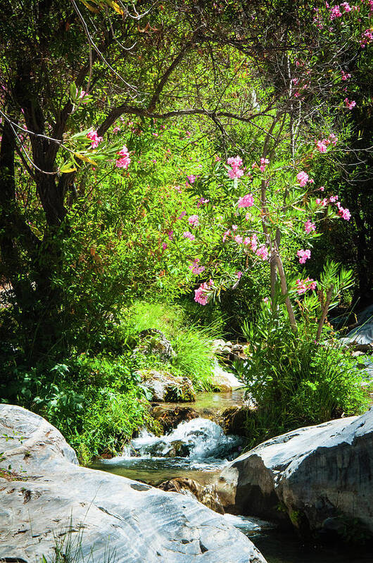 Andalucia Art Print featuring the photograph Babbling Brook by Geoff Smith