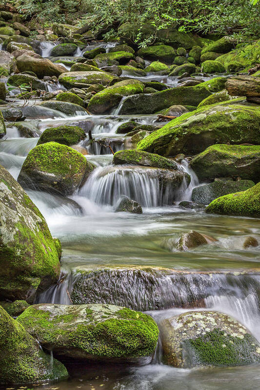 Vertical Art Print featuring the photograph Back Country Stream by Jon Glaser