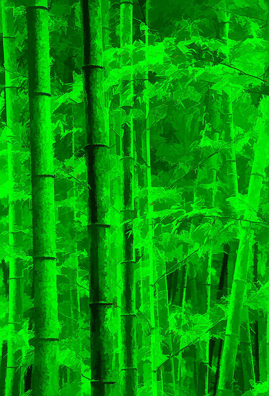 China Art Print featuring the photograph Bamboo Forest by Dennis Cox