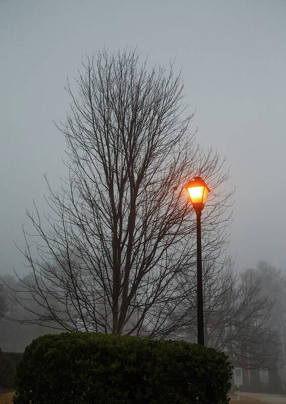 Bare Art Print featuring the photograph Bare Tree and Street Light in Early Morning Fog by Darryl Brooks