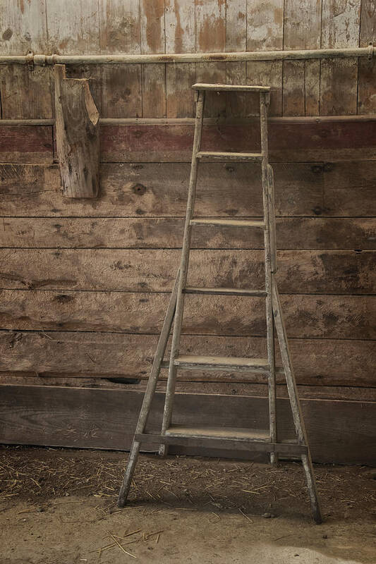 Scott Farm Vermont Art Print featuring the photograph Barn Ladder by Tom Singleton