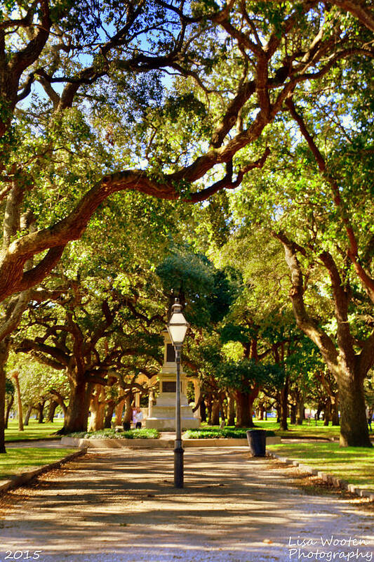 White Point Gardens Art Print featuring the photograph Battery Park Charleston SC by Lisa Wooten