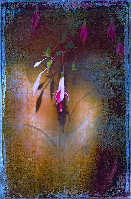 Floral Art Print featuring the photograph Be Mine by John Rivera