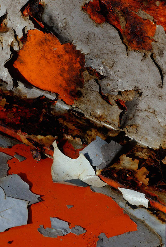 Abstract Detail Art Print featuring the photograph Beautiful Decay by Irwin Barrett