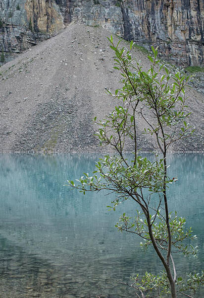 Jasper Art Print featuring the photograph Lake Moraine by Patricia Hofmeester