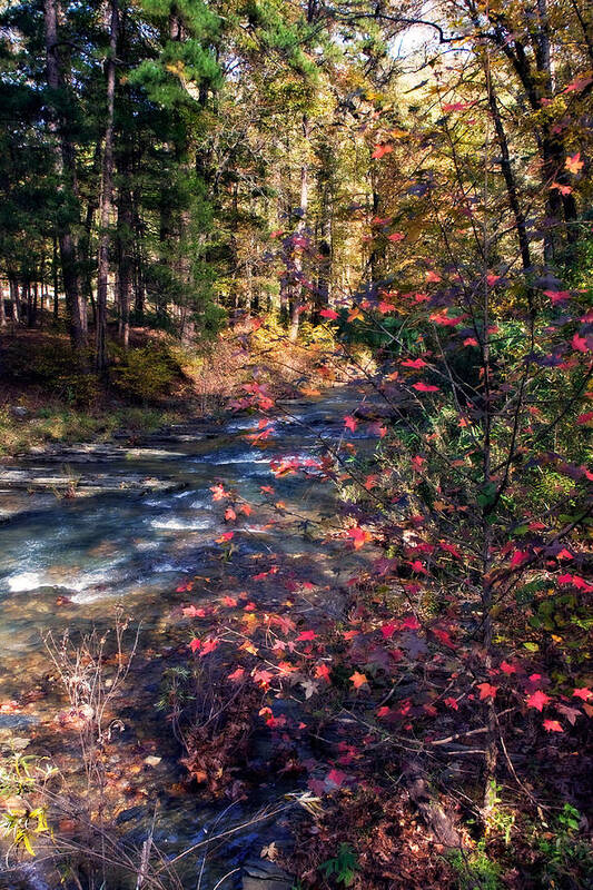 Autumn Art Print featuring the photograph Beavers Bend by Lana Trussell