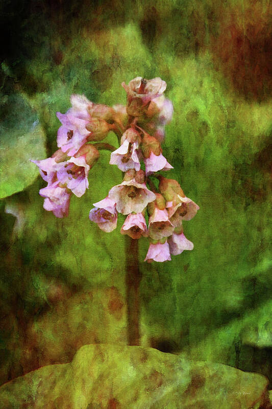 Impression Art Print featuring the photograph Bells 9186 IDP_2 by Steven Ward
