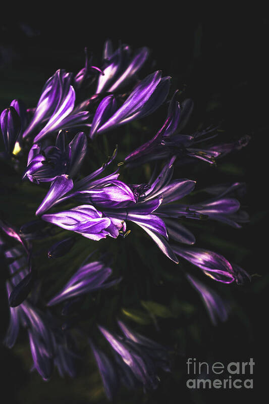Purple Art Print featuring the photograph Bells and flowers by Jorgo Photography