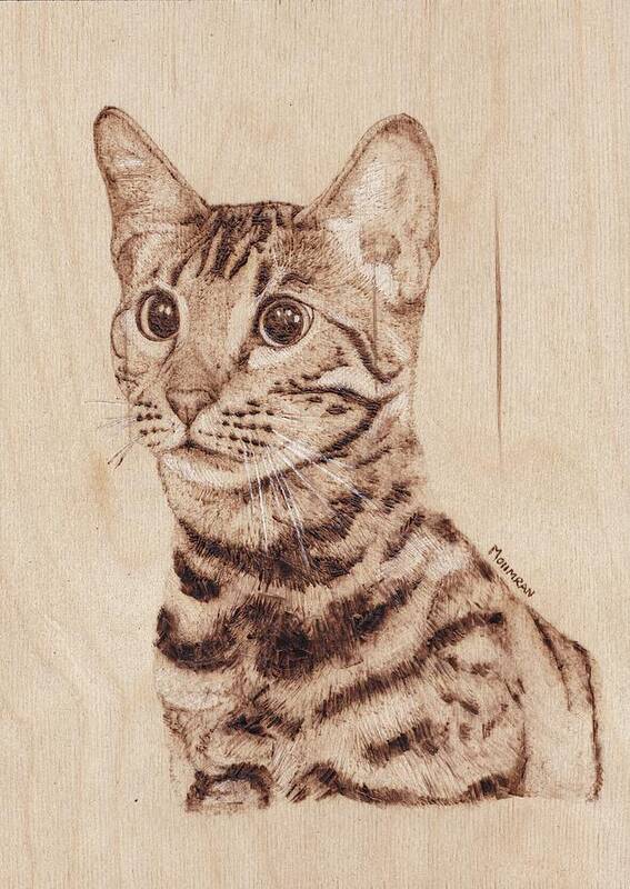Bengal cat, bengal, cat, drawing, gift' Mouse Pad | Spreadshirt