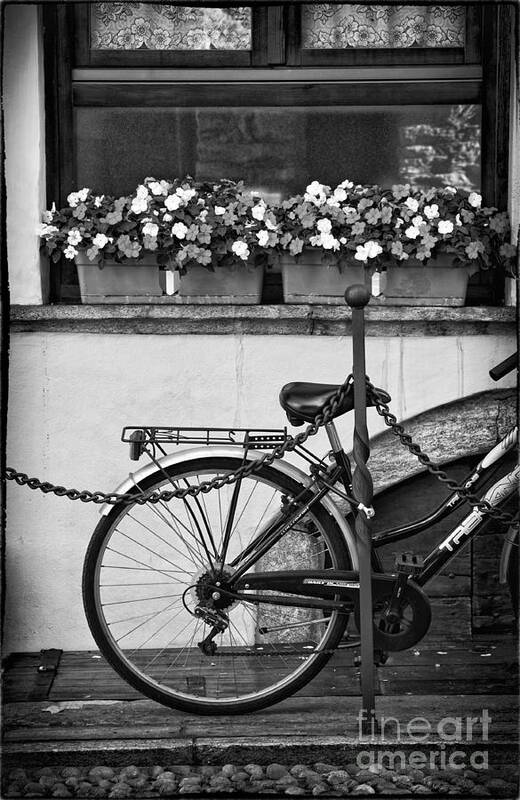 Black And White Art Print featuring the photograph Bicycle with flowers by Silvia Ganora