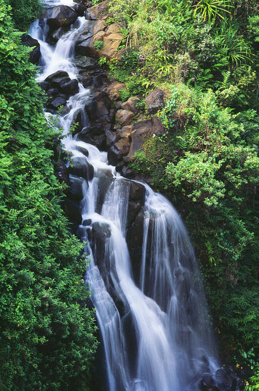 Beautiful Art Print featuring the photograph Big Island Waterfall by William Waterfall - Printscapes