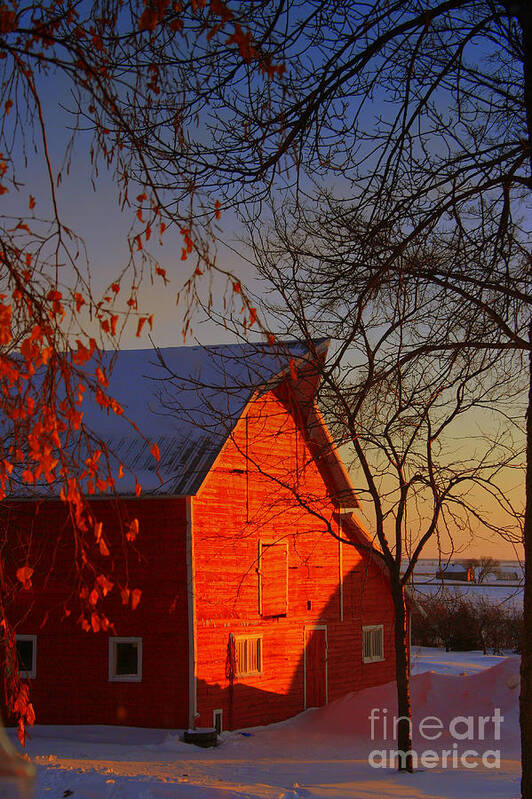 Barn Art Print featuring the photograph Big red barn by Julie Lueders 