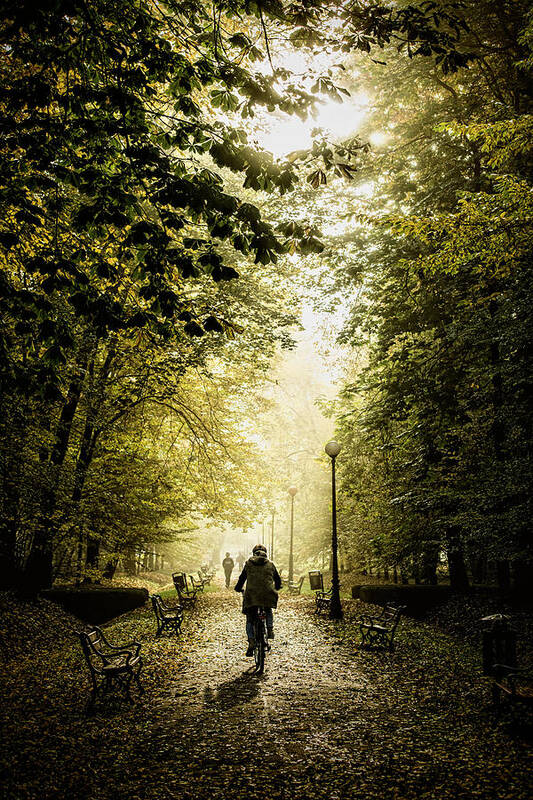 Autumn Art Print featuring the photograph Biker by Jaroslaw Grudzinski