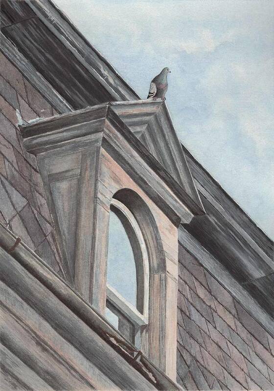 Pigeon Art Print featuring the painting Bird's Eye View by Deb Brown Maher