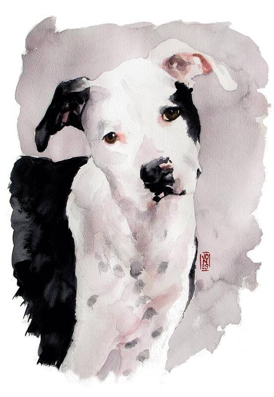 Pit Bull Dog Art Print featuring the painting Black and White Pit by Debra Jones