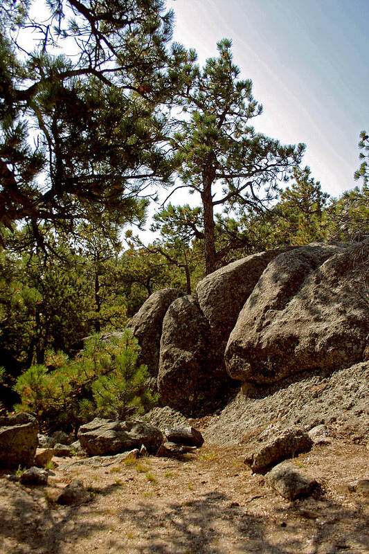 Attraction Art Print featuring the photograph Black Hills II by Mike Oistad
