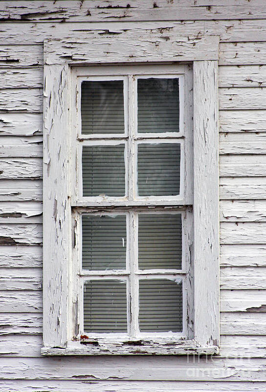 Windows Art Print featuring the photograph Blinded View by Joy Tudor