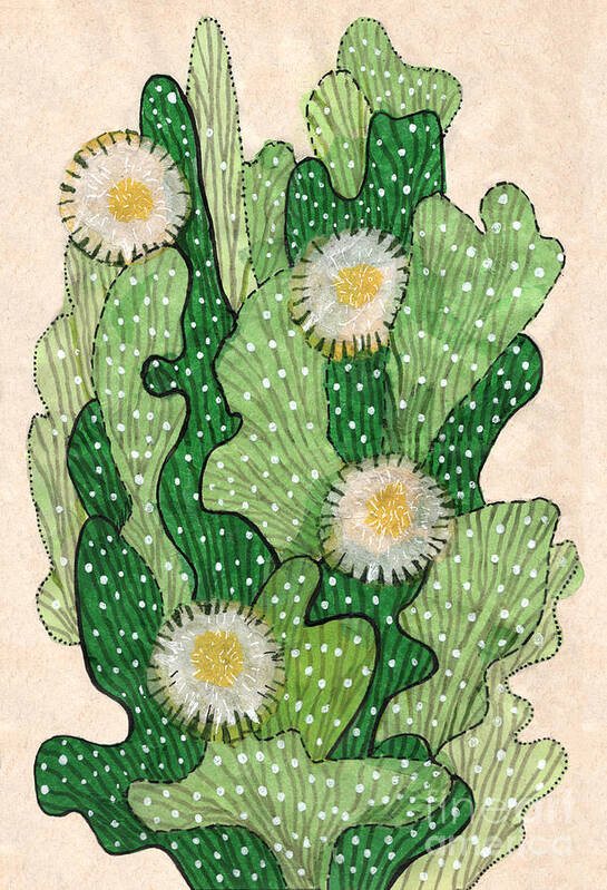 Cactus Succulent Desert Flowers Art Print featuring the mixed media Blooming Cacti by Julia Khoroshikh