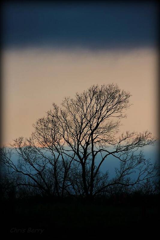 Home Art Print featuring the photograph Blue Dusk by Chris Berry