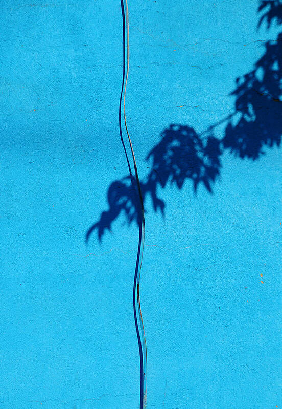 Blue Art Print featuring the photograph Blue Wall by JoAnn Lense