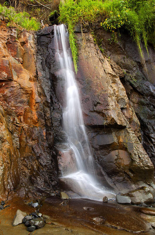 Cascade Art Print featuring the photograph Boiler Bay Cascade by Michael Dawson