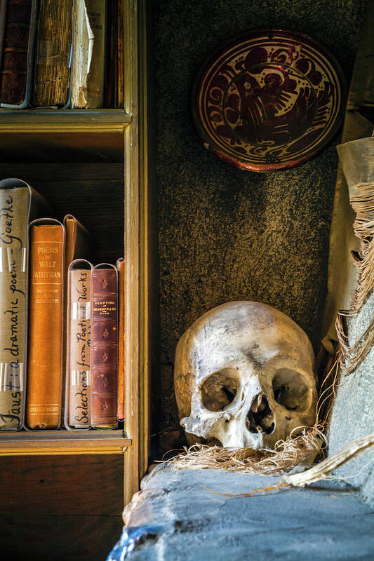 Bookcase Art Print featuring the photograph Bookcase Skull by Jack Nevitt