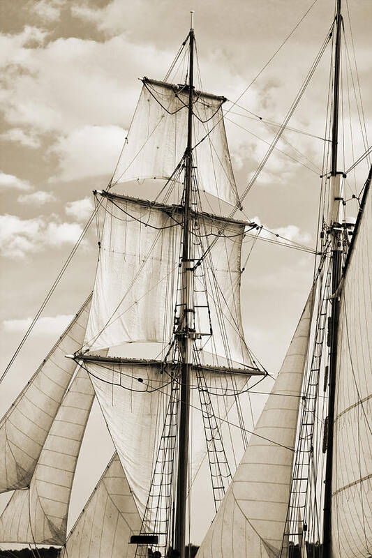 Brigantine Art Print featuring the photograph Brigantine Tallship Fritha Sails and Rigging by Dustin K Ryan