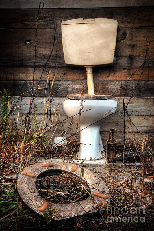 Abandoned Art Print featuring the photograph Broken Toilet by Carlos Caetano