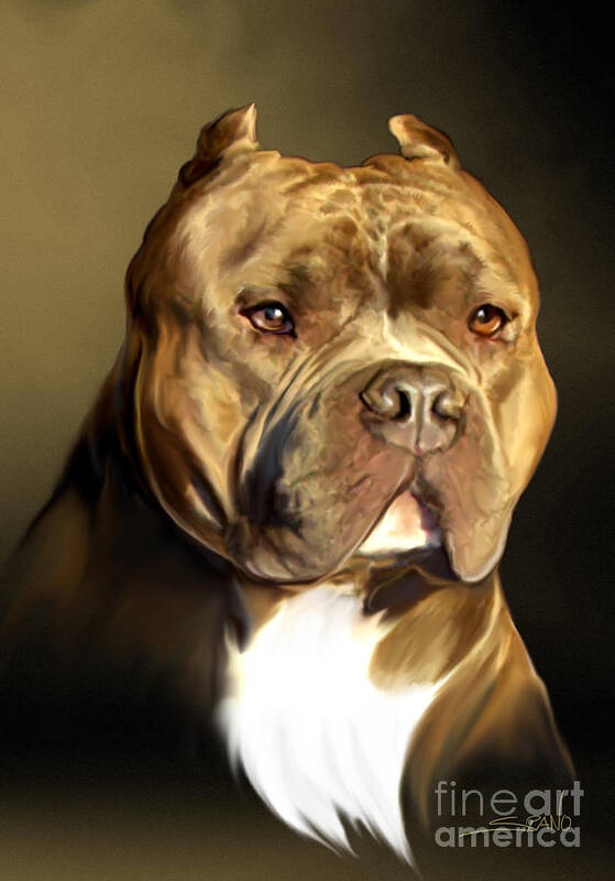 Spano Art Print featuring the painting Brown and White Pit Bull by Spano by Michael Spano