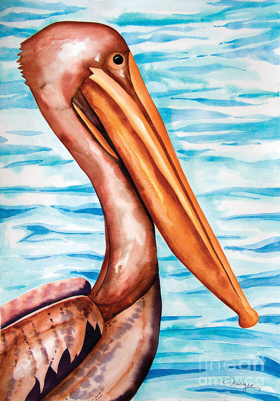 Brown Pelican Art Print featuring the painting Brown Pelican Portrait by Kandyce Waltensperger
