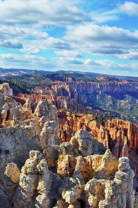Bryce Canyon National Park Art Print featuring the photograph Bryce Canyon Rainbow Point Magic Hour Portrait by Kyle Hanson