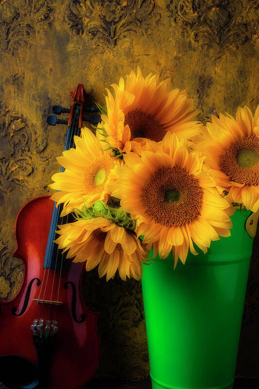 Sunflower Art Print featuring the photograph Bucket Of Sunflowers With Violin by Garry Gay