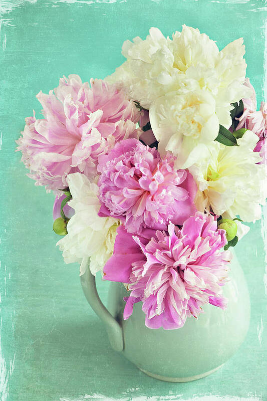 Pink Peony Art Print featuring the photograph Burst of Spring by Jill Love