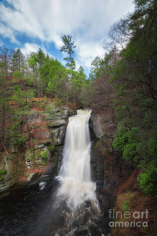 Main Art Print featuring the photograph Bushkill Falls by Michael Ver Sprill