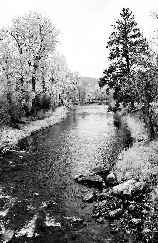 River Art Print featuring the photograph Calm River Black and White by Athena Mckinzie