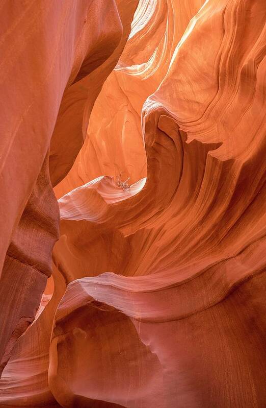 Antelope Canyon Art Print featuring the photograph Canyon Beauty by Jeanne May