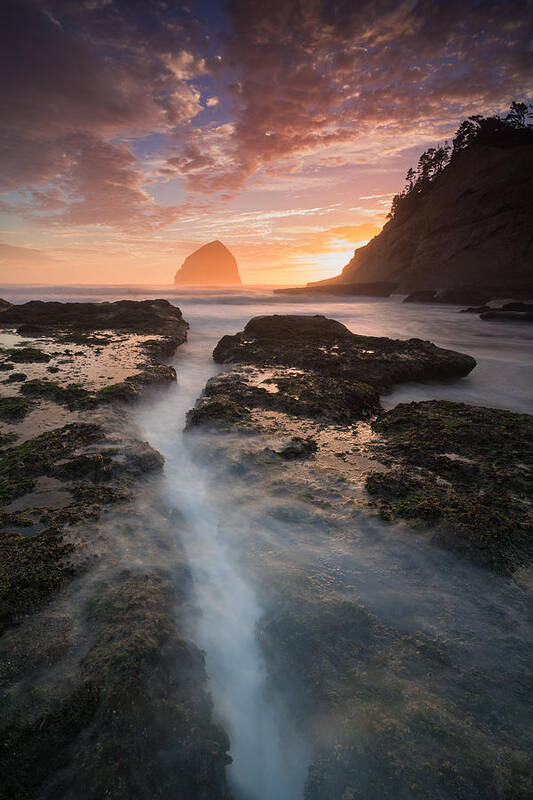 Brian Bonham Art Print featuring the photograph Cape Kiwanda Sunset by Brian Bonham